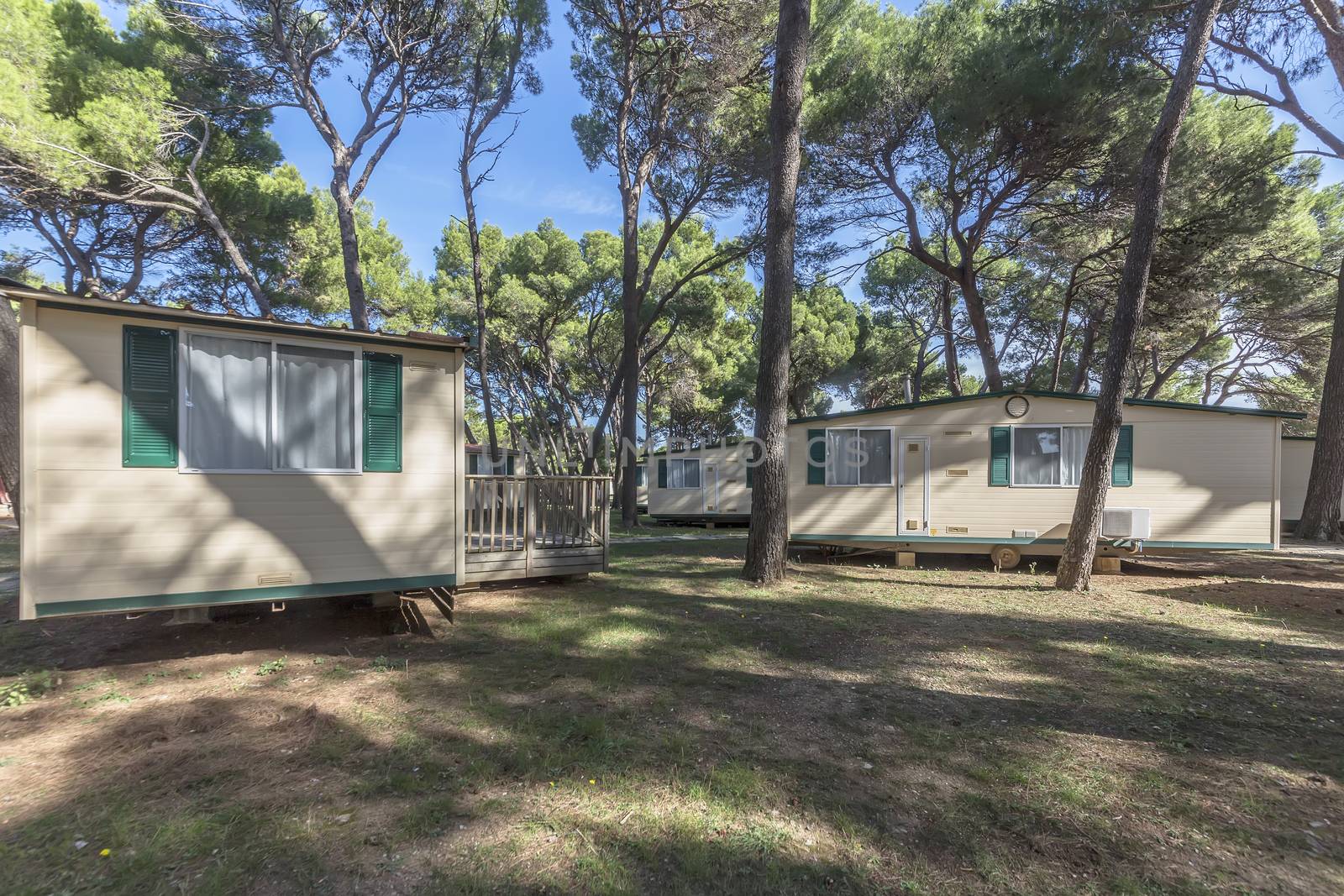 static holiday caravans in pine tree forest