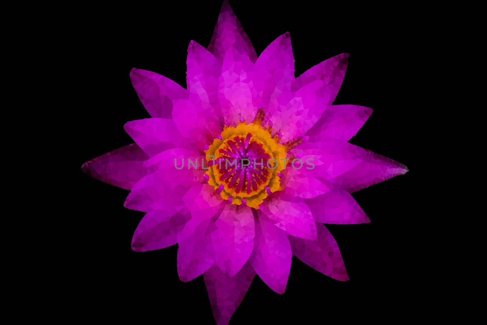 The Abstract Triangles flowers of Top view purple lotus and yellow pollen