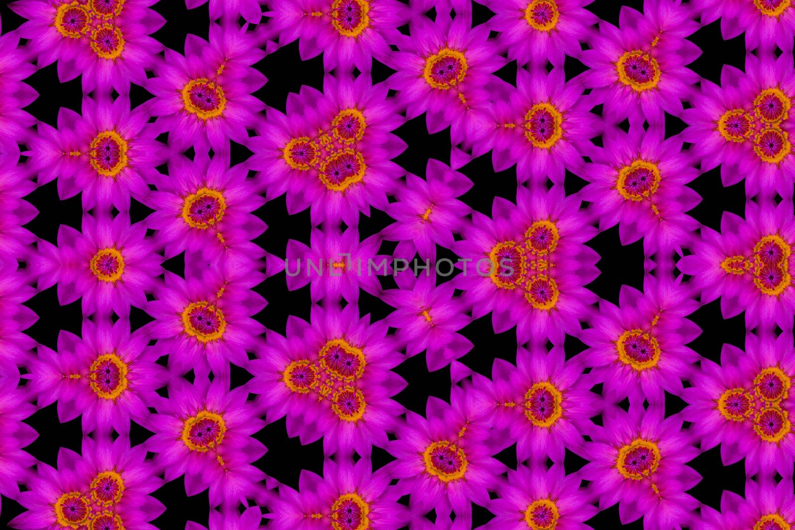 The Abstract reflection of Top view purple lotus and yellow pollen, kaleidoscope image