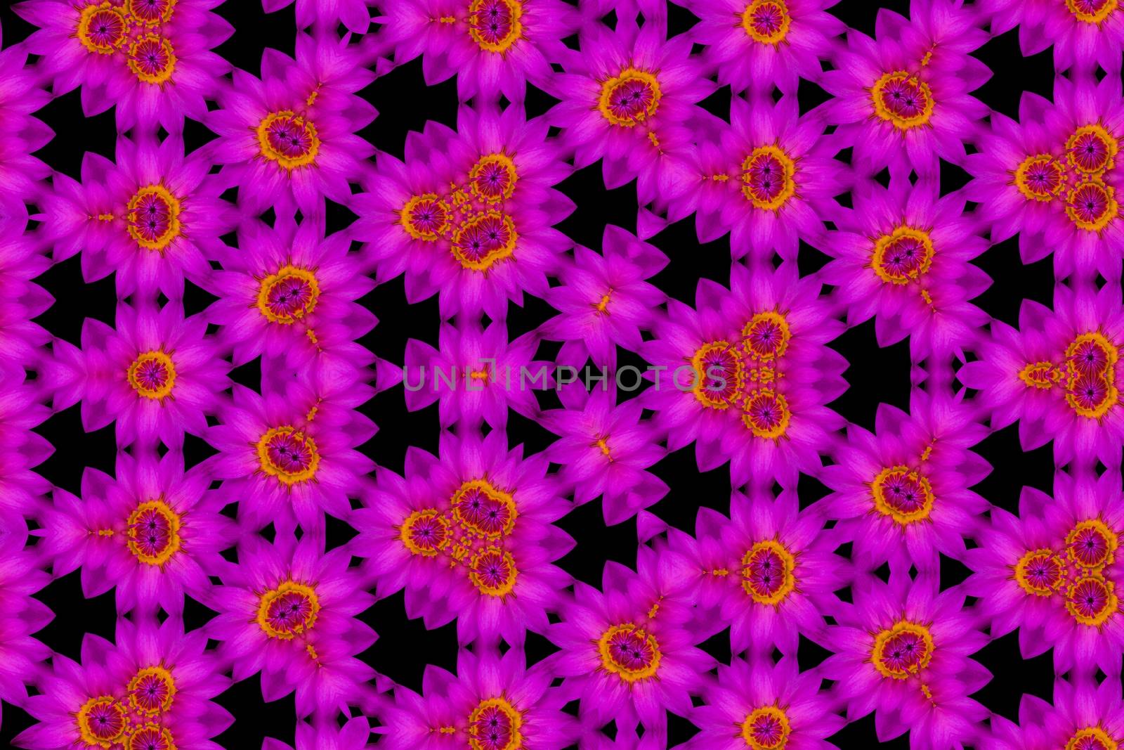 The Abstract reflection of Top view purple lotus and yellow pollen, kaleidoscope image