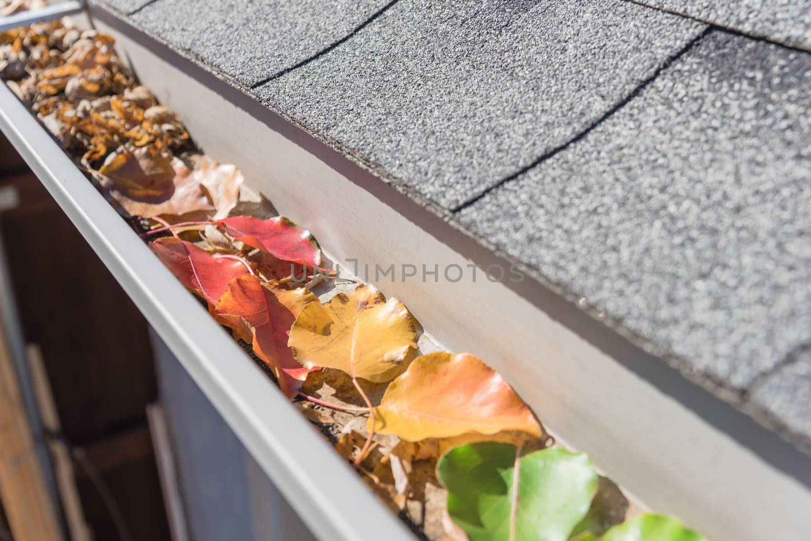 Shallow DOF colorful green, yellow, orange, red autumn leaves clogged house gutter near Dallas by trongnguyen