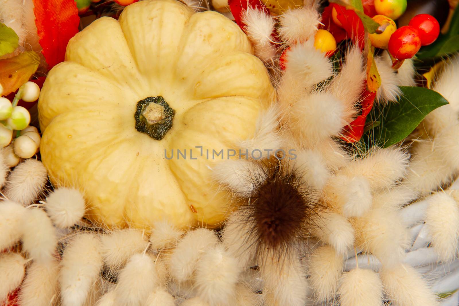 Bouquet of pumpkin and fluffy dried flowers in a basket on a gold background to decorate the table for thanksgiving celebration.