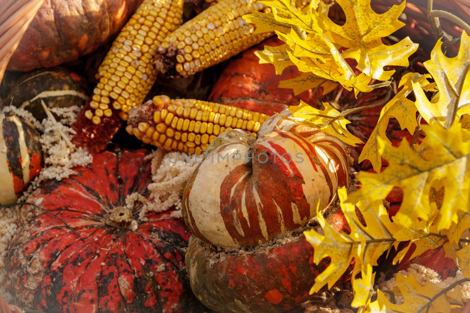 lots of pumpkins at outdoor farmer's market, autumn pumpkin decor for thanksgiving