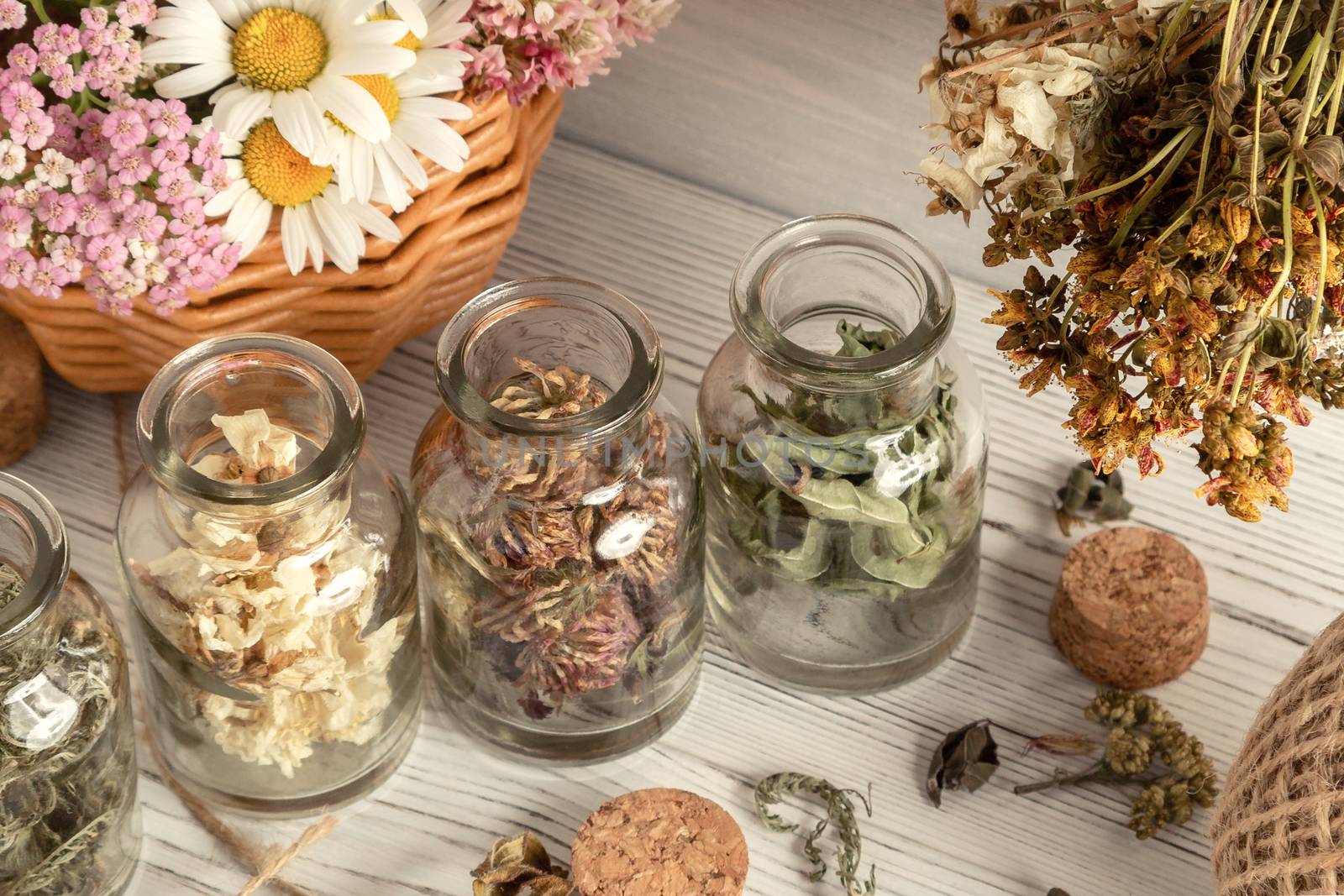 Drying and harvesting of medicinal herbs, homeopathy and alternative medicine concept by galsand