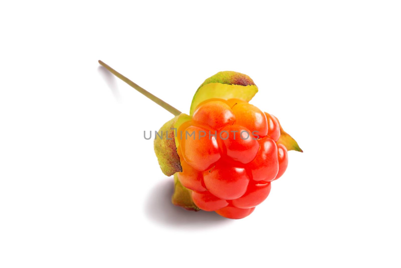 One ripe cloudberry isolated on a white background with clipping paths with shadow and without shadow.