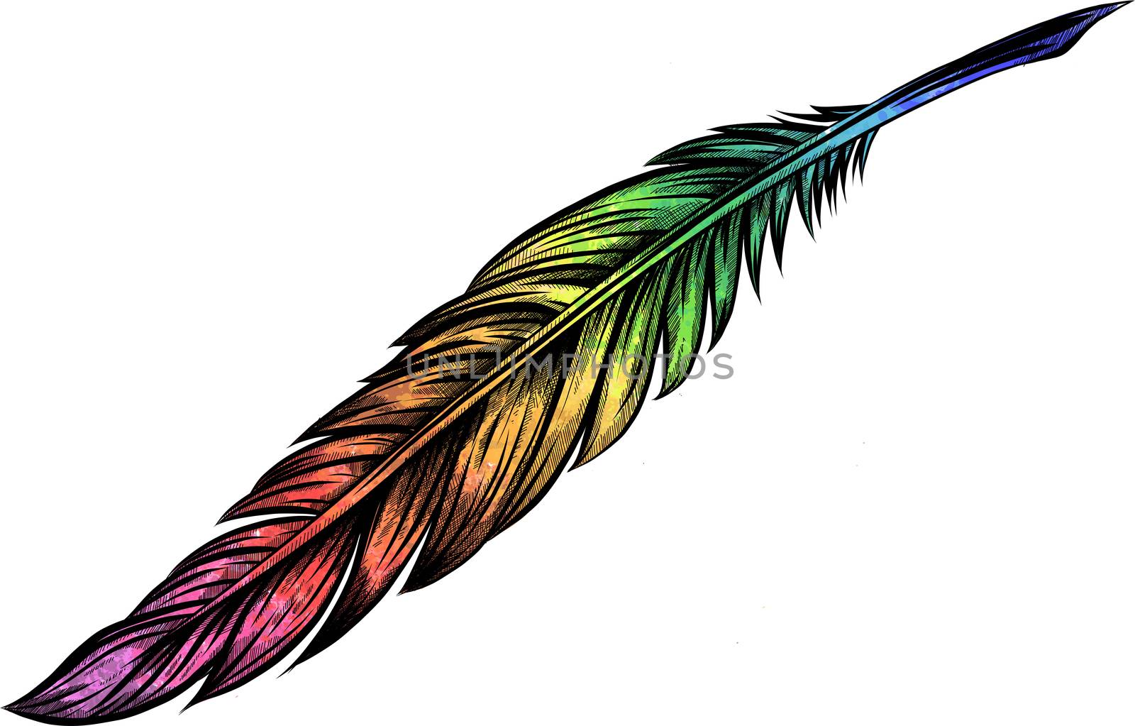 illustration of color feather tattoo
