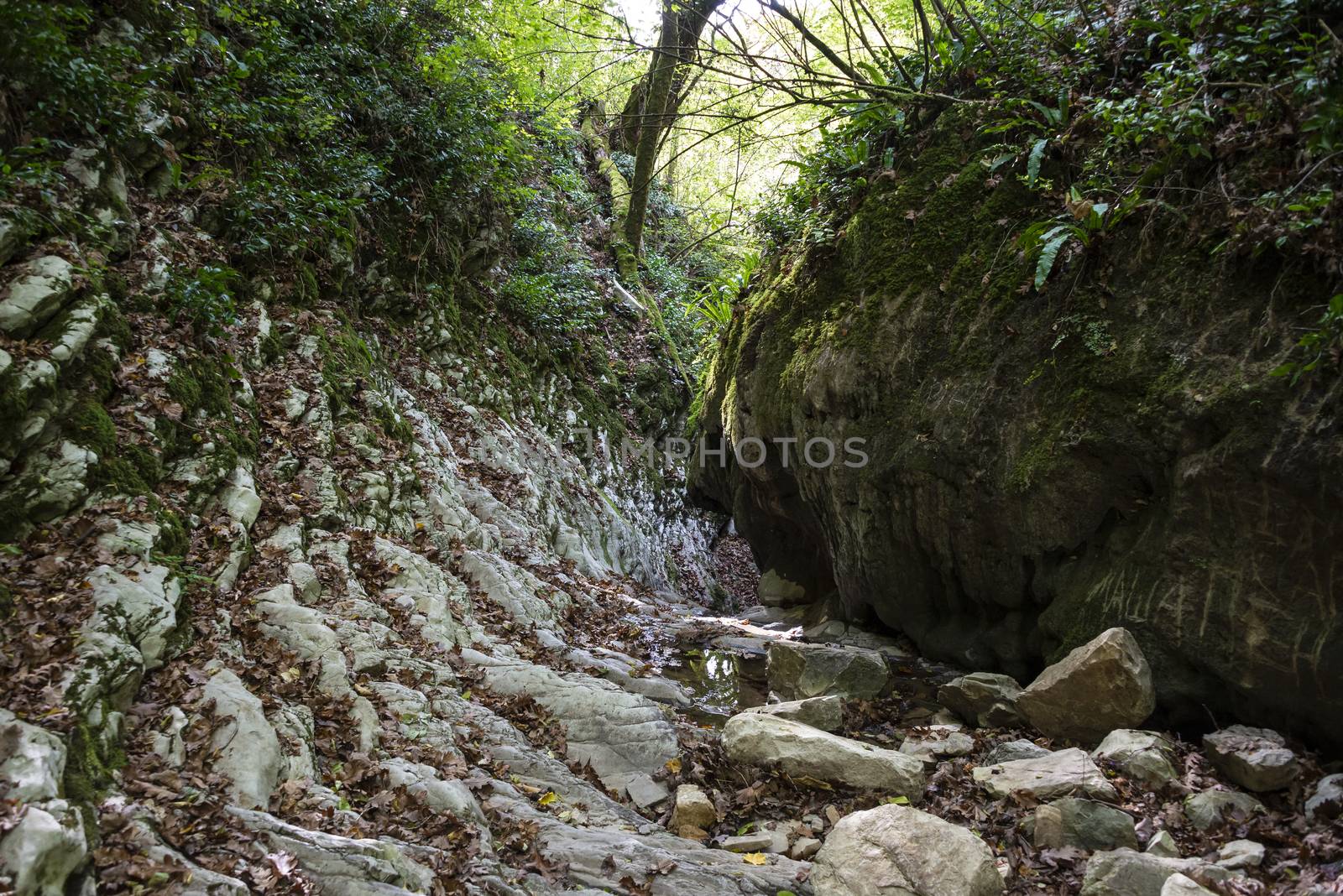 Crab gorge near Lazarevskoye, Sochi, Russia. 3 November 2019.