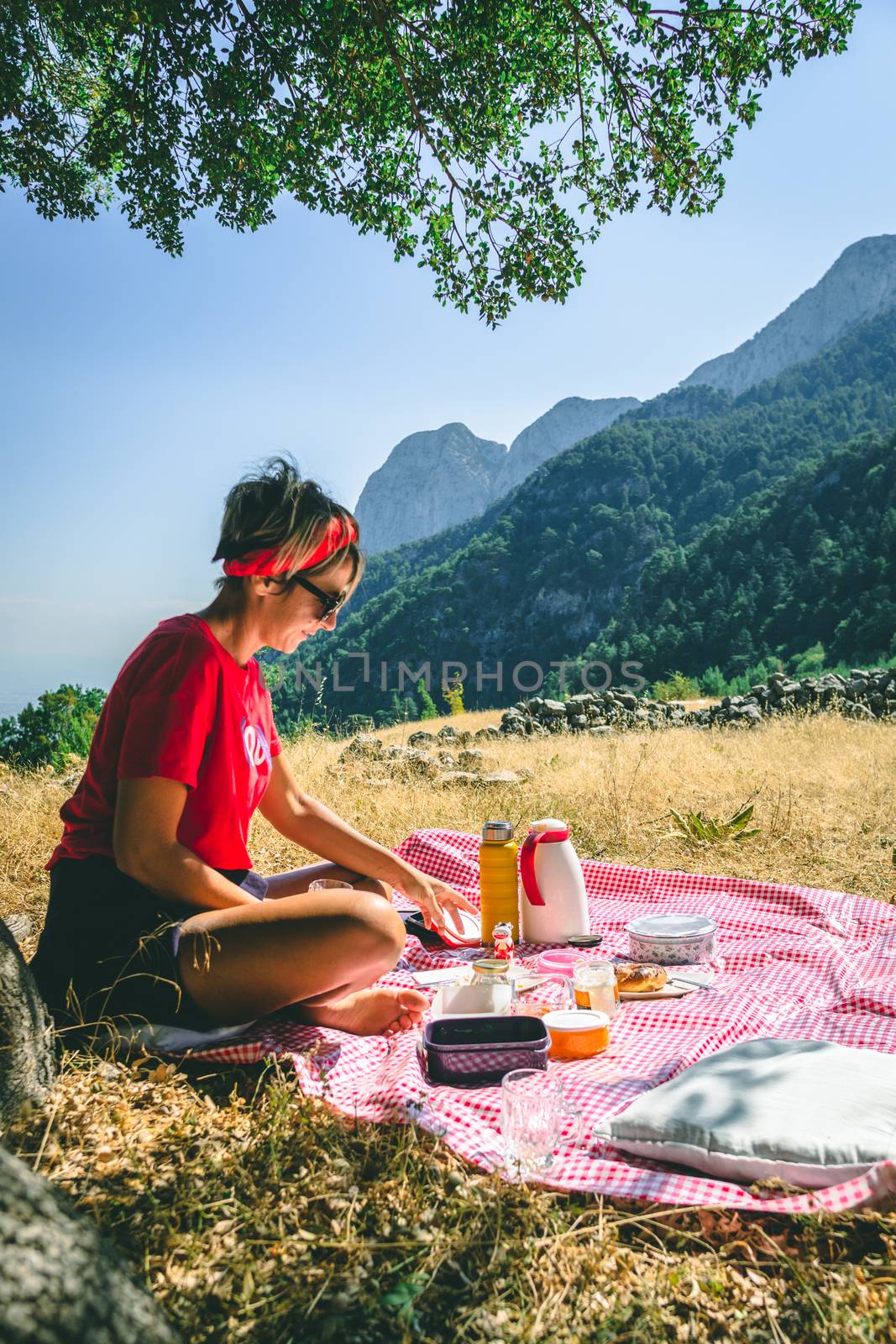 Picnic in the nature with mountains in the background.