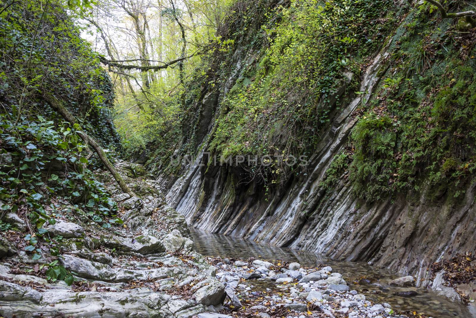 The Kuapse river in the Mamedov gorge is a tourist route. Landmark Lazarevsky district of Sochi, Russia. 4 November 2019.