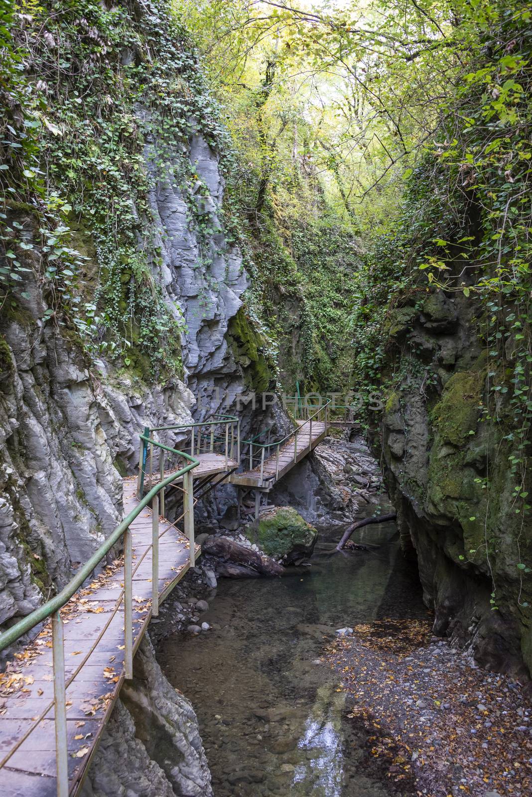 Svirskoye gorge in autumn is a landmark of Lazarevsky district of Sochi, Russia. 5 November 2019 by butenkow