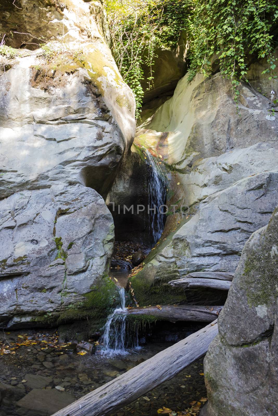 Svirskoye gorge in autumn is a landmark of Lazarevsky district of Sochi, Russia. 5 November 2019.