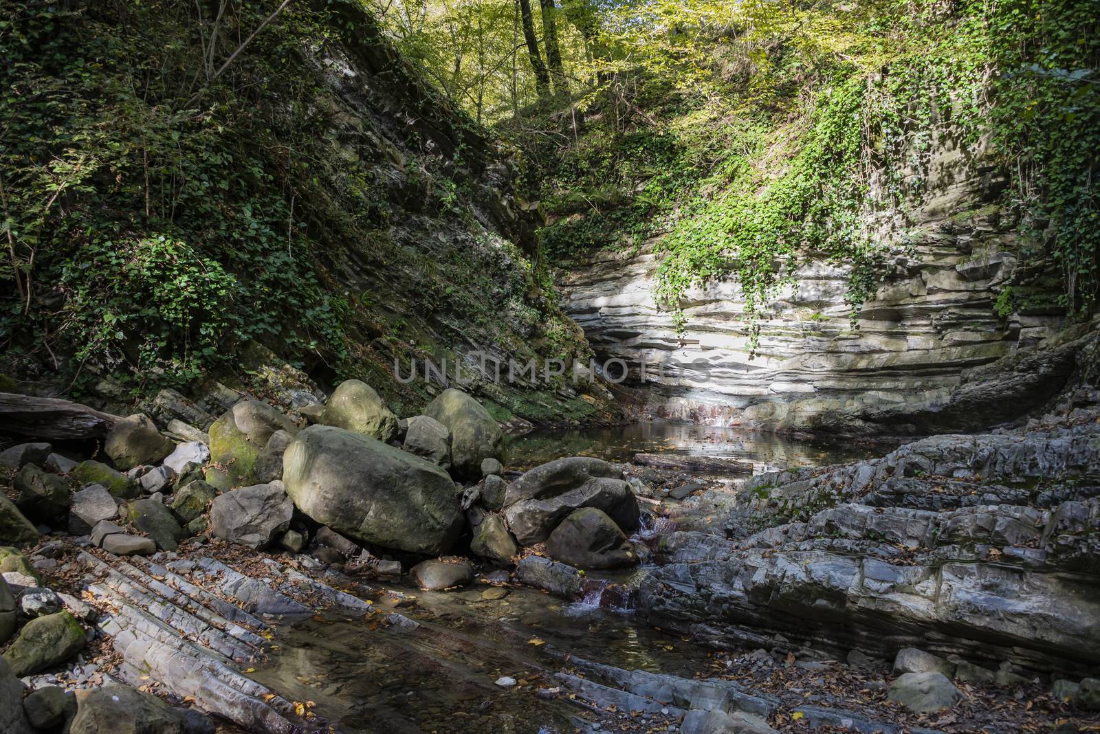 Svirskoye gorge in autumn is a landmark of Lazarevsky district of Sochi, Russia. 5 November 2019.