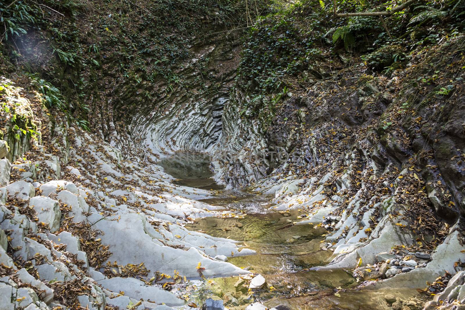Svirskoye gorge in autumn is a landmark of Lazarevsky district of Sochi, Russia. 5 November 2019.