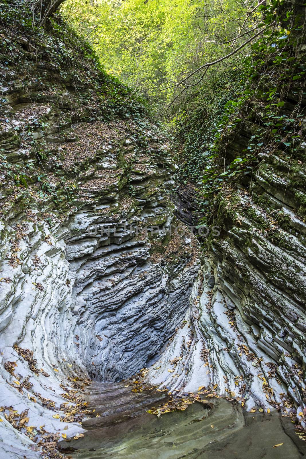 Svirskoye gorge in autumn is a landmark of Lazarevsky district of Sochi, Russia. 5 November 2019 by butenkow