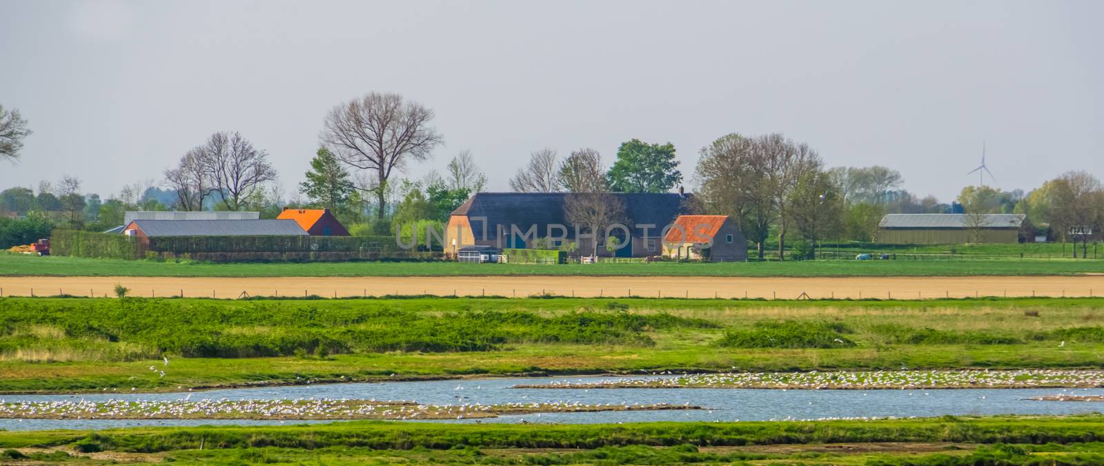 Farm building in the schakerloopolder of Tholen, countryside and nature reserve, Zeeland, The netherlands by charlottebleijenberg