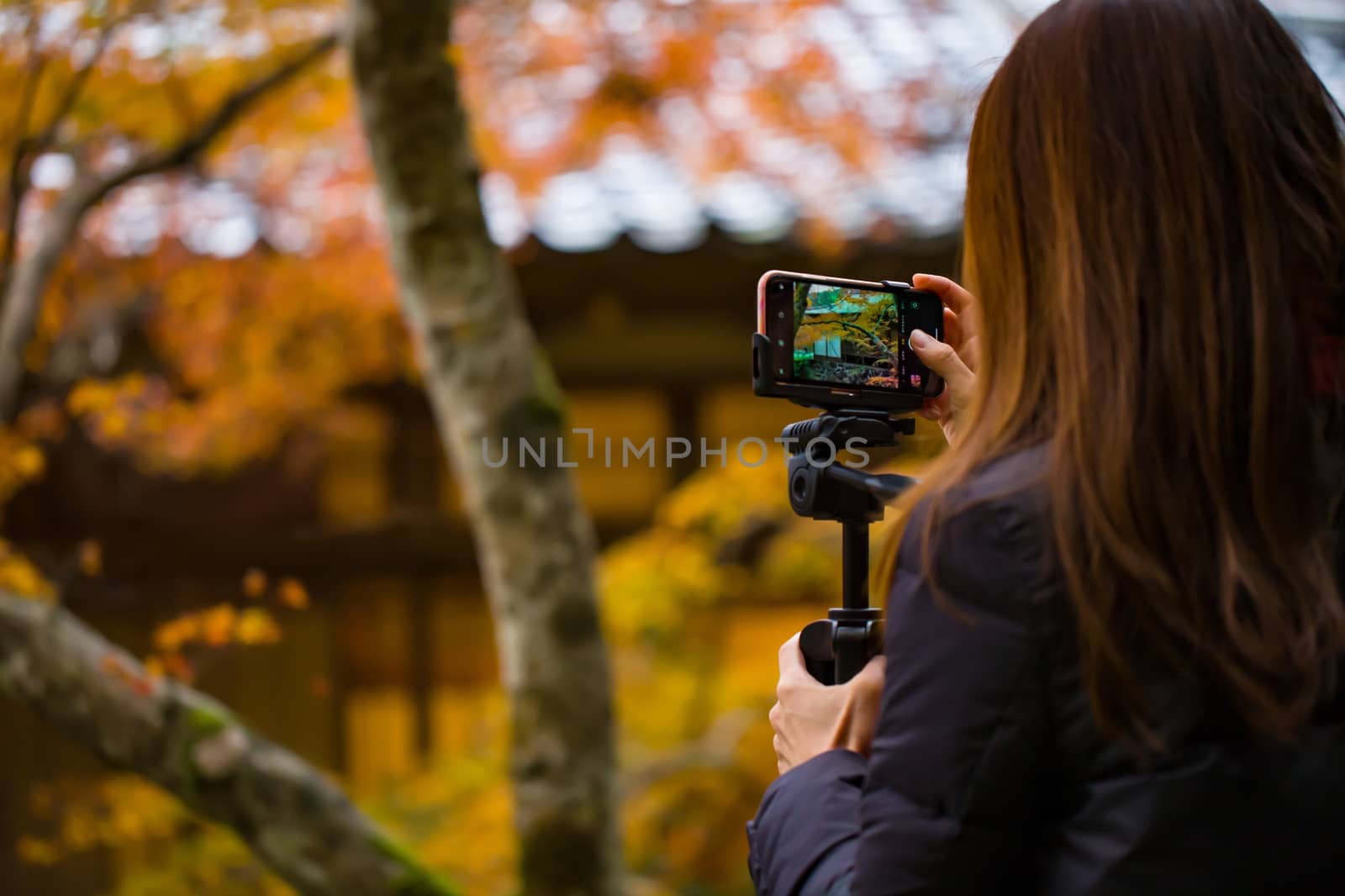 Daigo, Kyoto Japan. 24/11/2019. A Japanese woman using a smartphone to capture the colors of autumn.