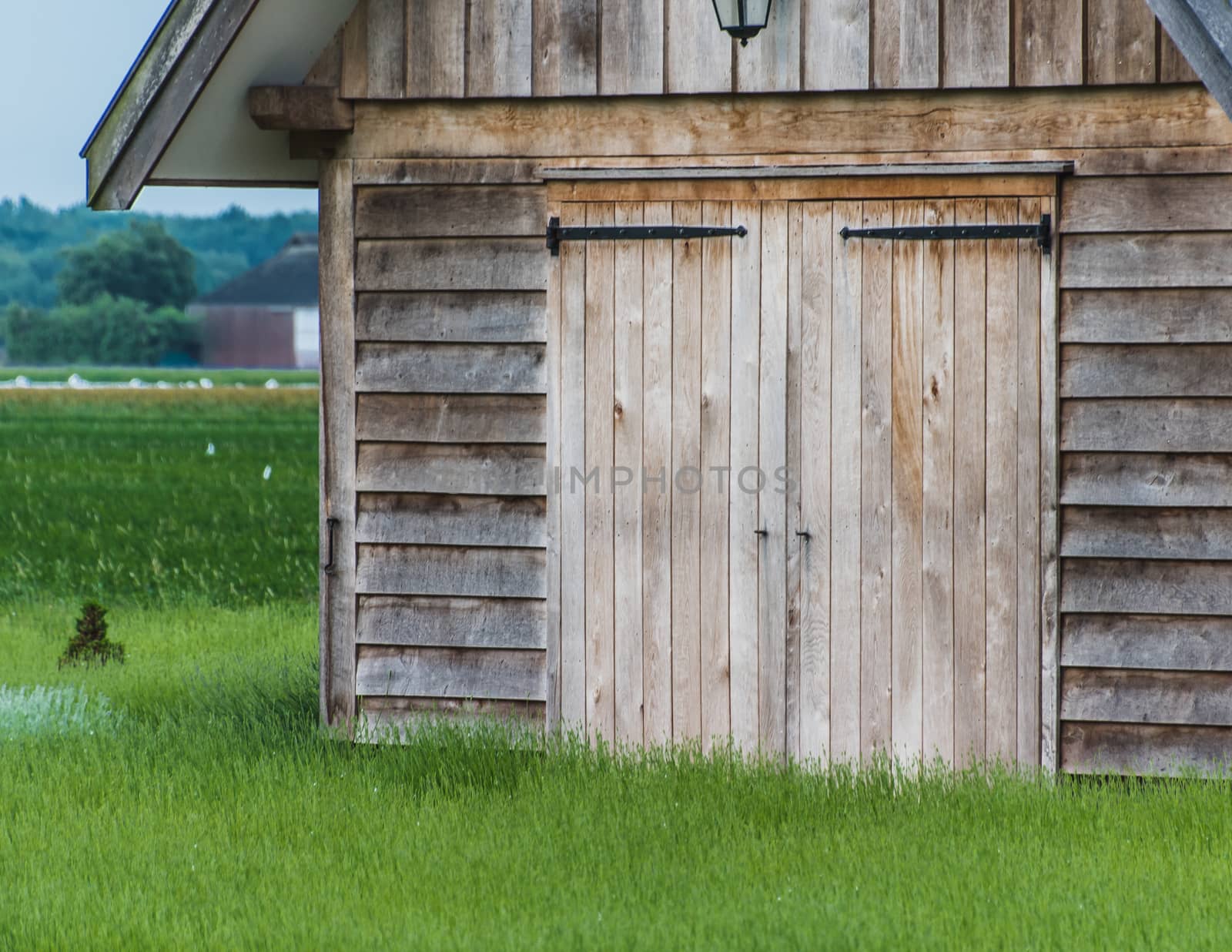 Old rustic and charming wooden house in the middle of a lavender field