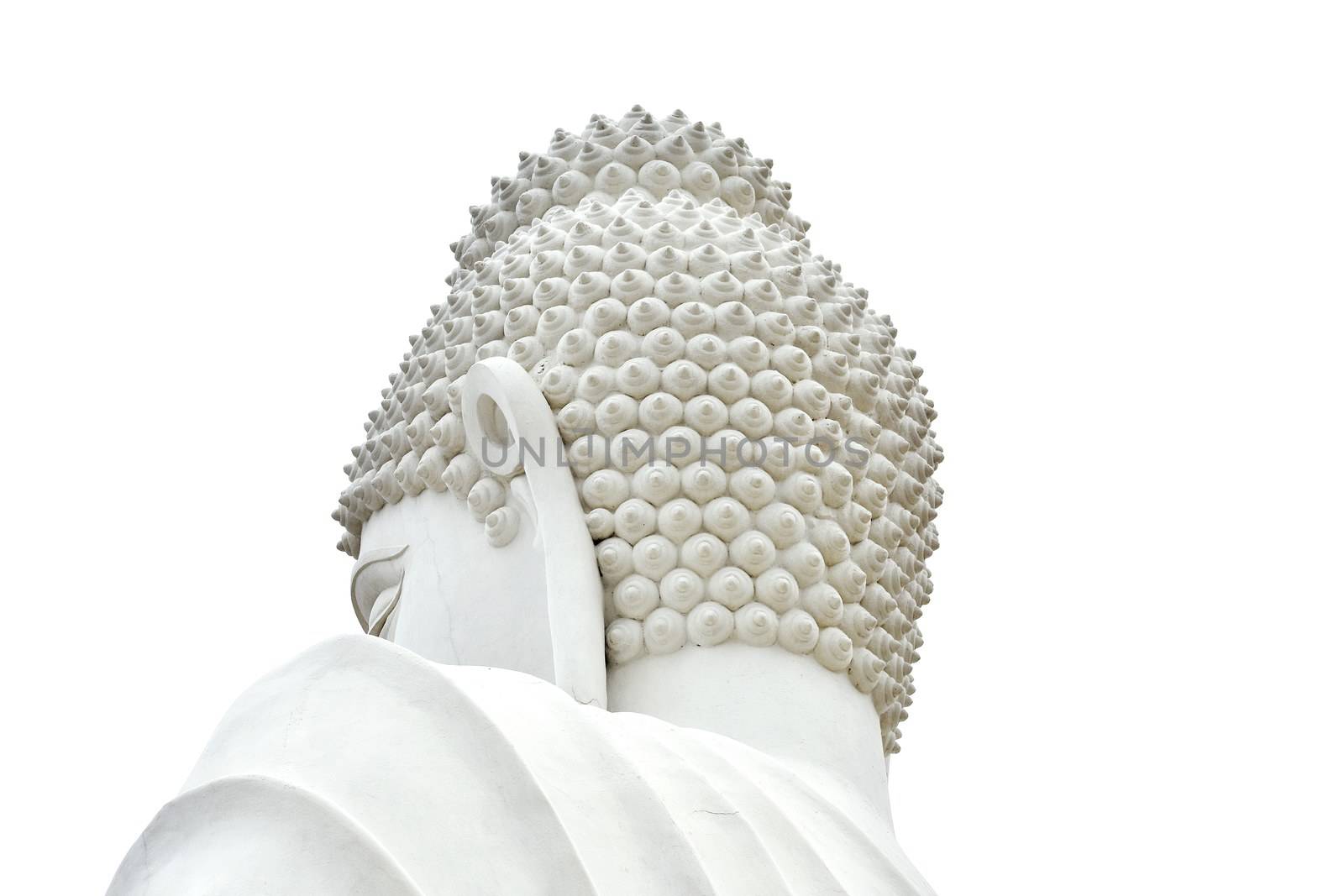 Buddha - A worshiper of non-violence