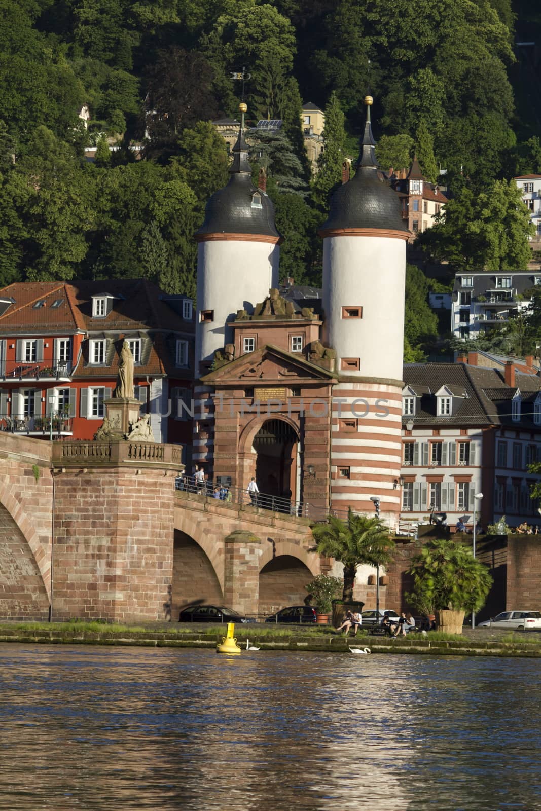 very beautiful Heidelberg city in Germany by mariephotos
