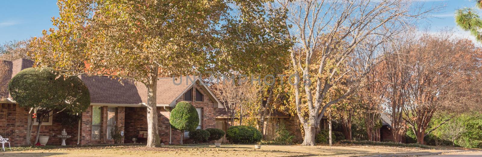Panorama view typical bungalow style house in Dallas, Texas suburbs during fall season with colorful autumn leaves. Middle class neighborhood single story residential home with mature tree
