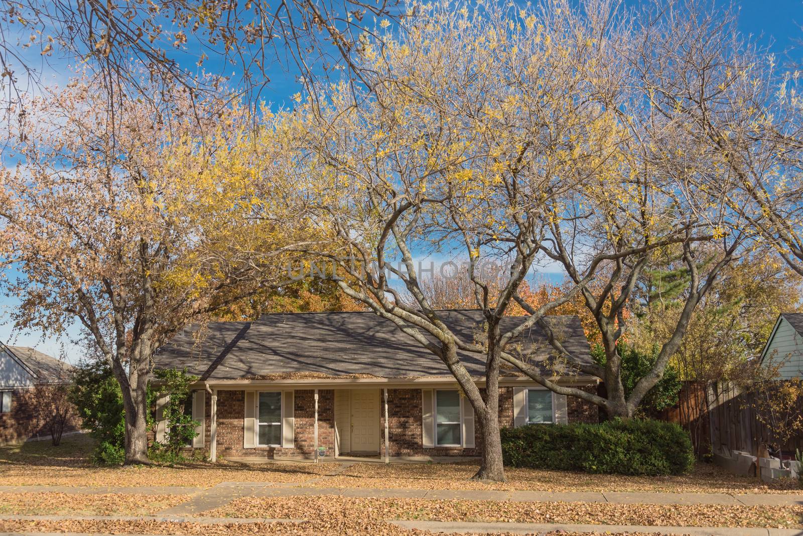 Typical bungalow style house in Dallas, Texas suburbs during fall season with colorful autumn leaves. Middle class neighborhood with single story residential home with mature tree, cloud blue sky