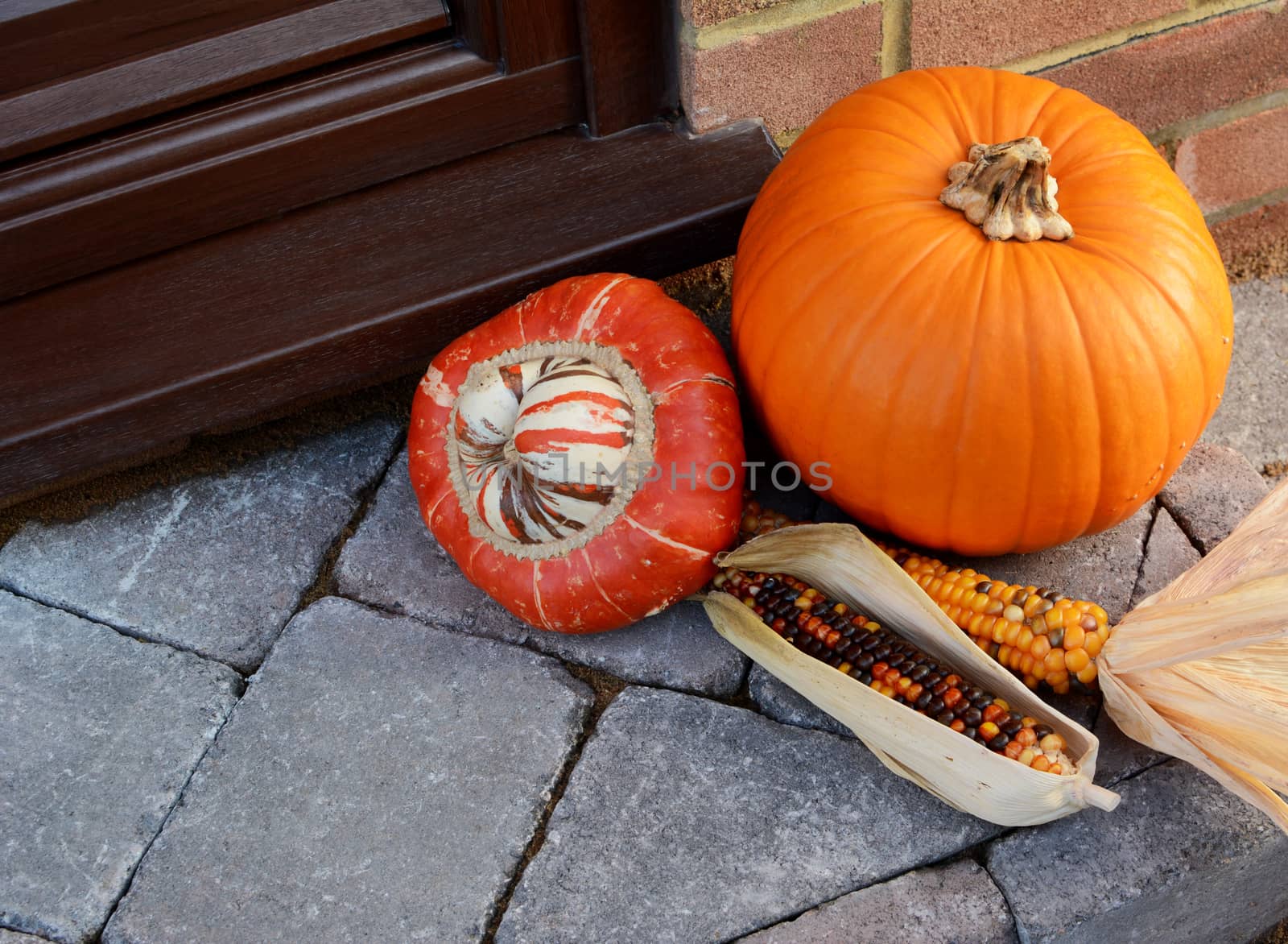 Turks Turban gourd with colourful ornamental corn and pumpkin by sarahdoow