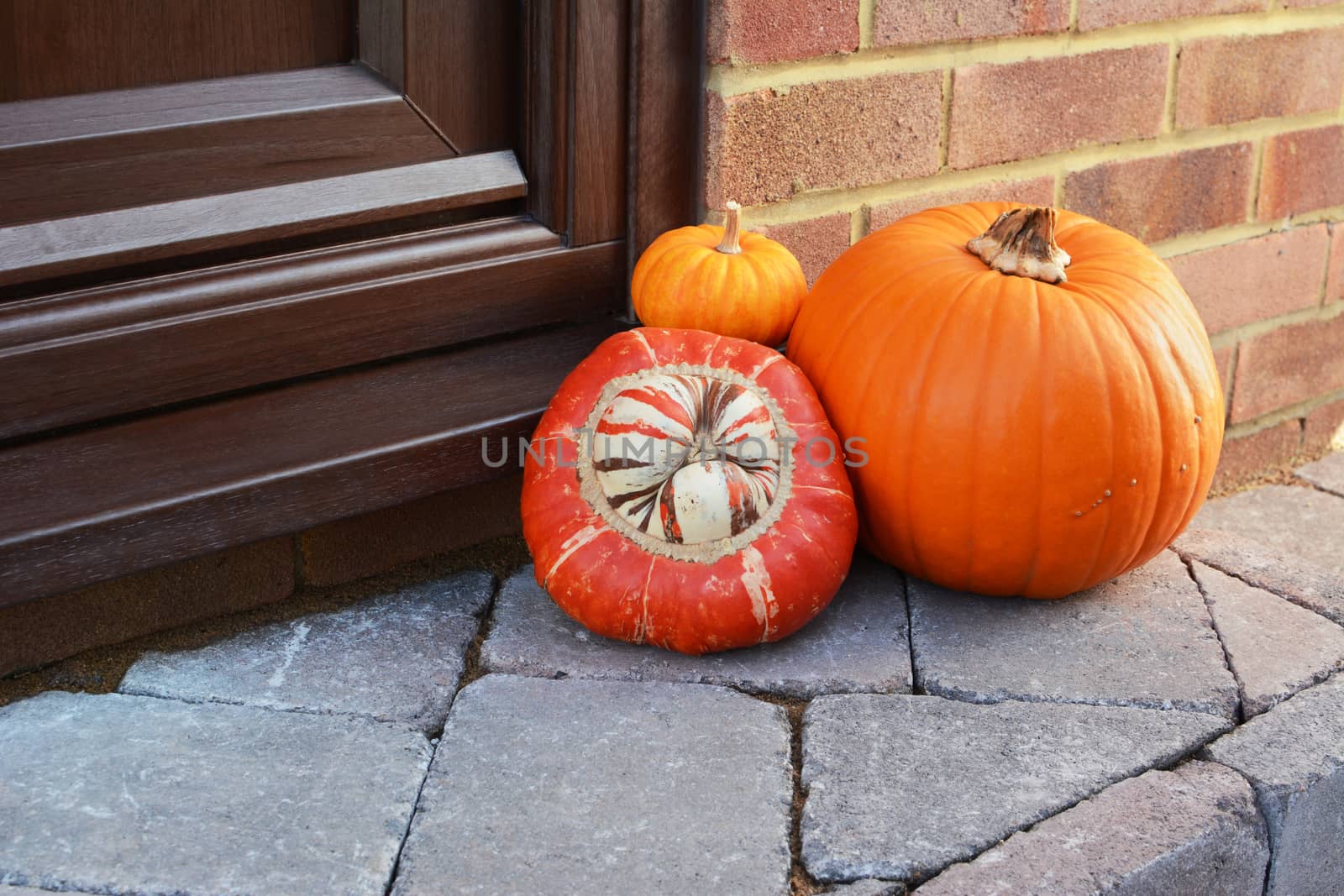 Collection of seasonal gourds as a Thanksgiving decoration with copy space on front door step