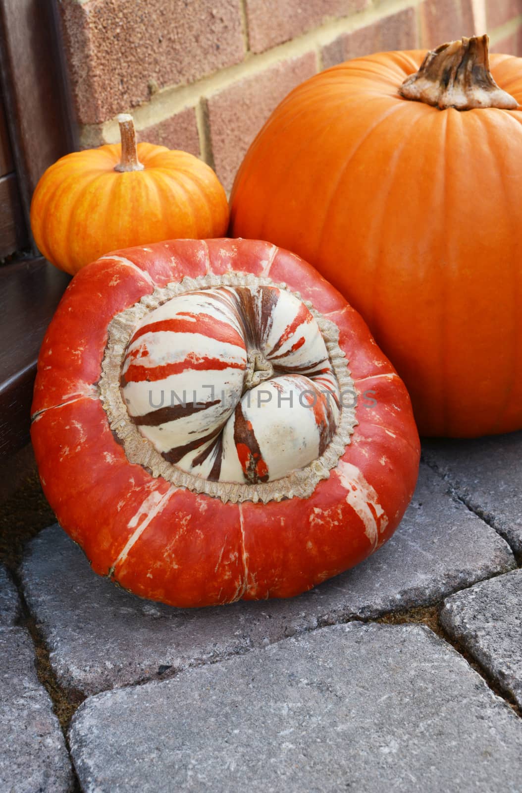 Striped Turks Turban gourd and pumpkins on a doorstep  by sarahdoow