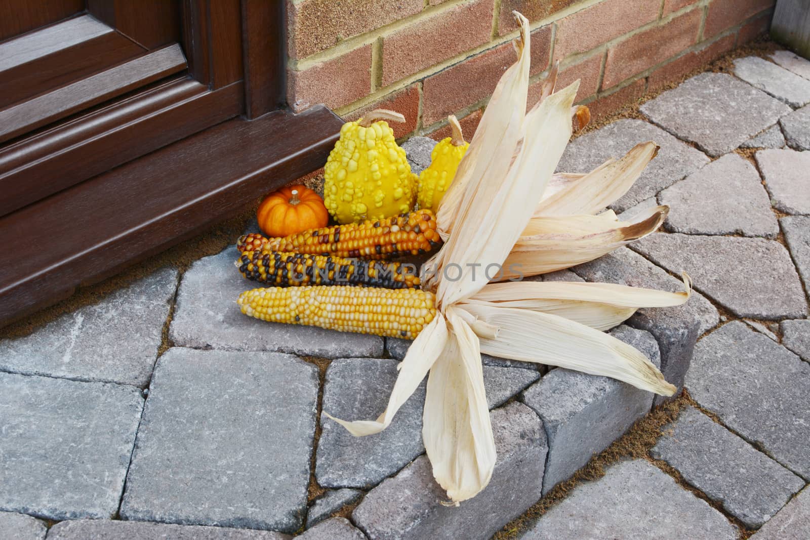Fall decoration of multi-coloured Indian corn and ornamental gou by sarahdoow
