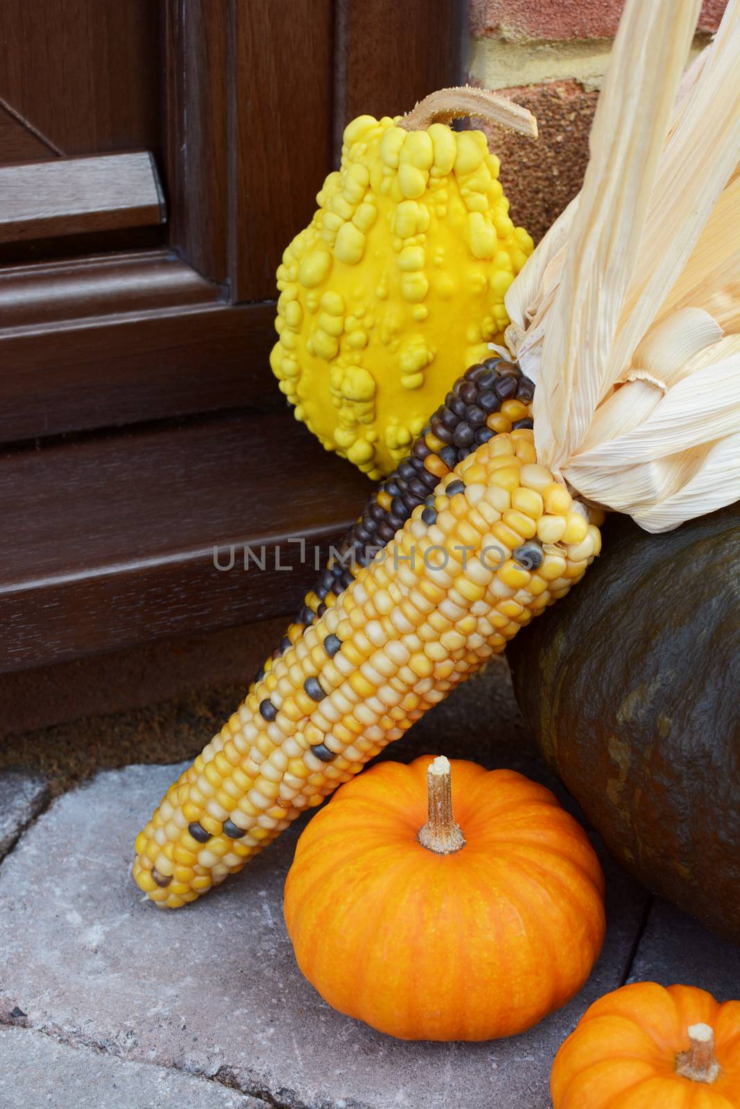 Ornamental sweetcorn and gourds as a Thanksgiving decoration by sarahdoow