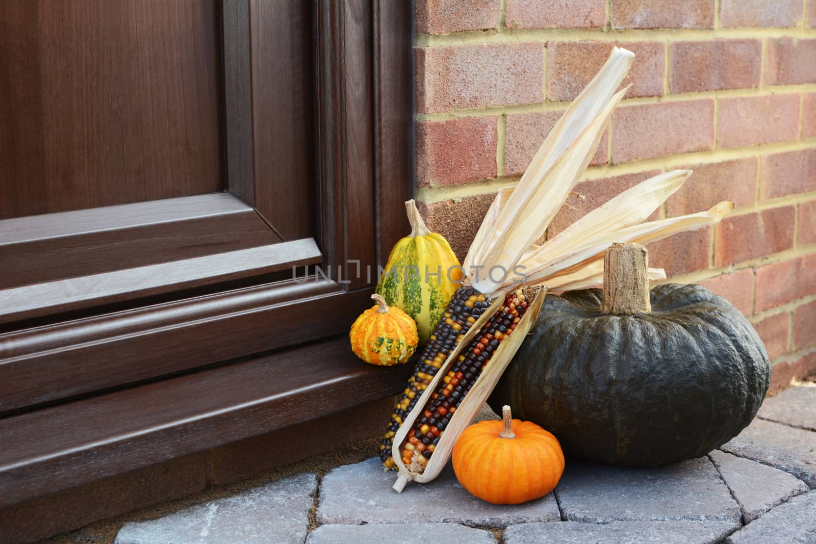Large green squash and ornamental gourds with multicoloured Indian corn as a Thanksgiving decoration on a doorstep
