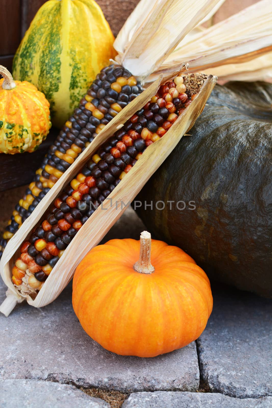 Mini pumpkin with ornamental corn and gourds as seasonal decorations on a stone step