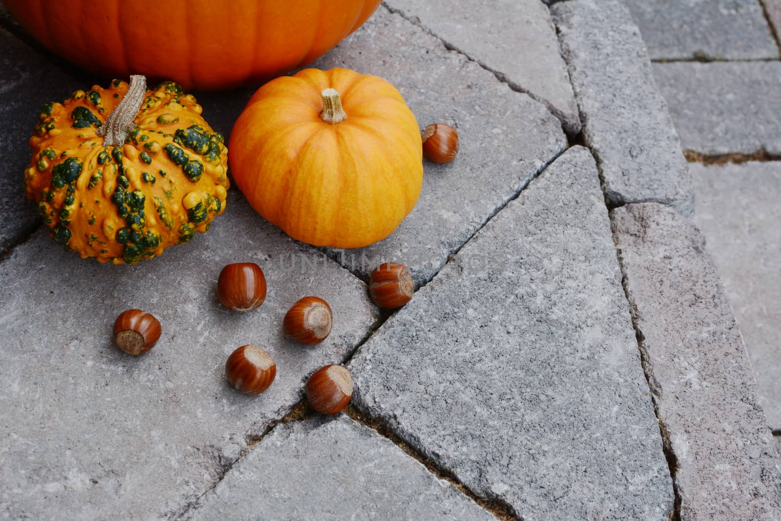 Ornamental gourds and hazelnuts as fall decorations on a stone s by sarahdoow