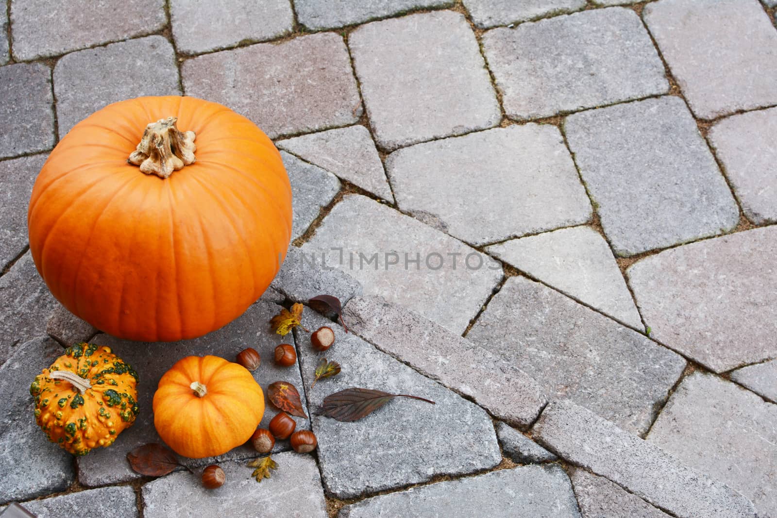 Orange pumpkin and gourds with hazelnuts and autumn leaves  by sarahdoow