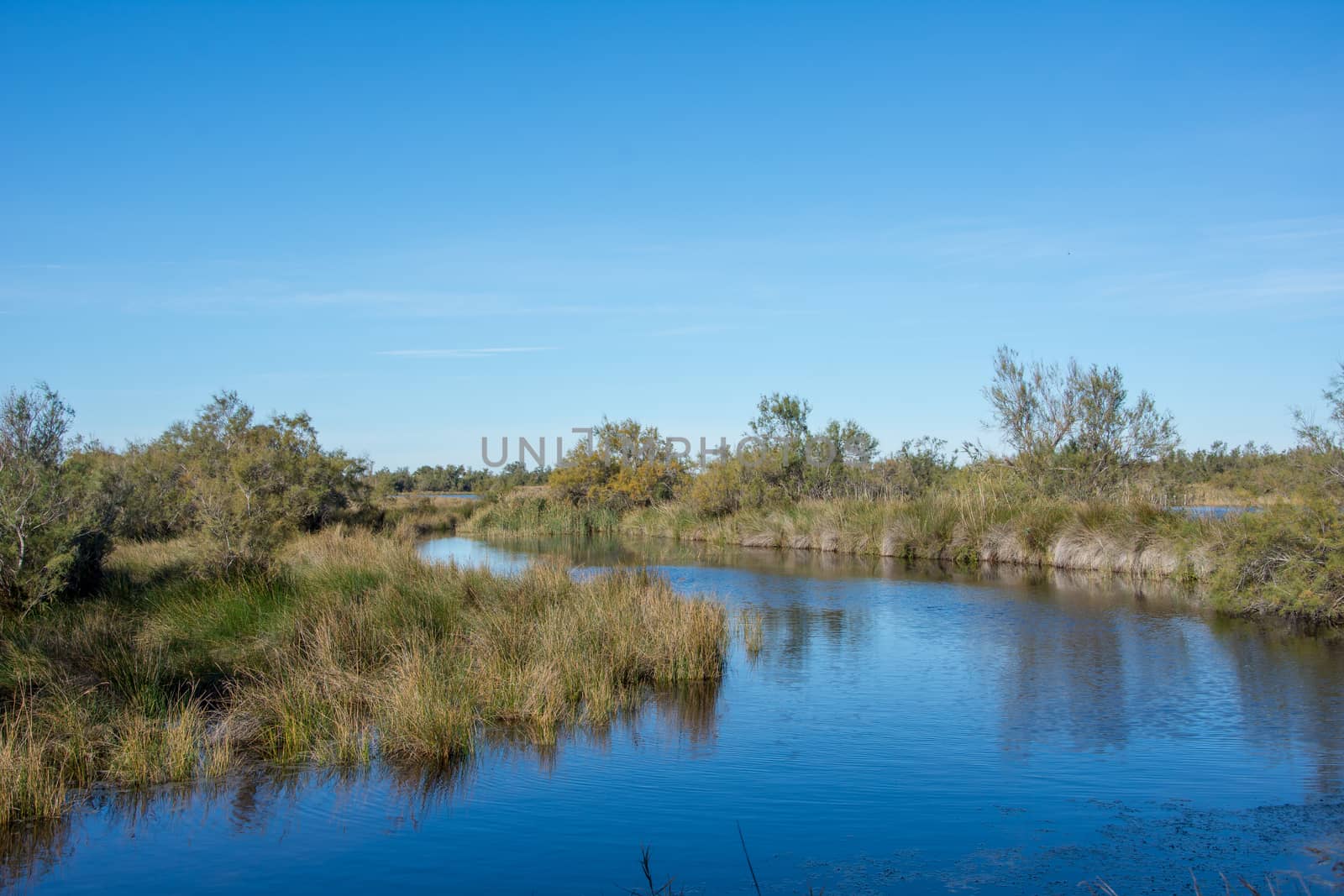 landscape of Camargues in the south of France. Ornithological nature reserve