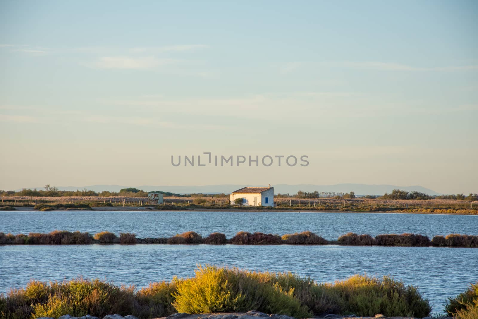 landscape of Camargues in the south of France by shovag