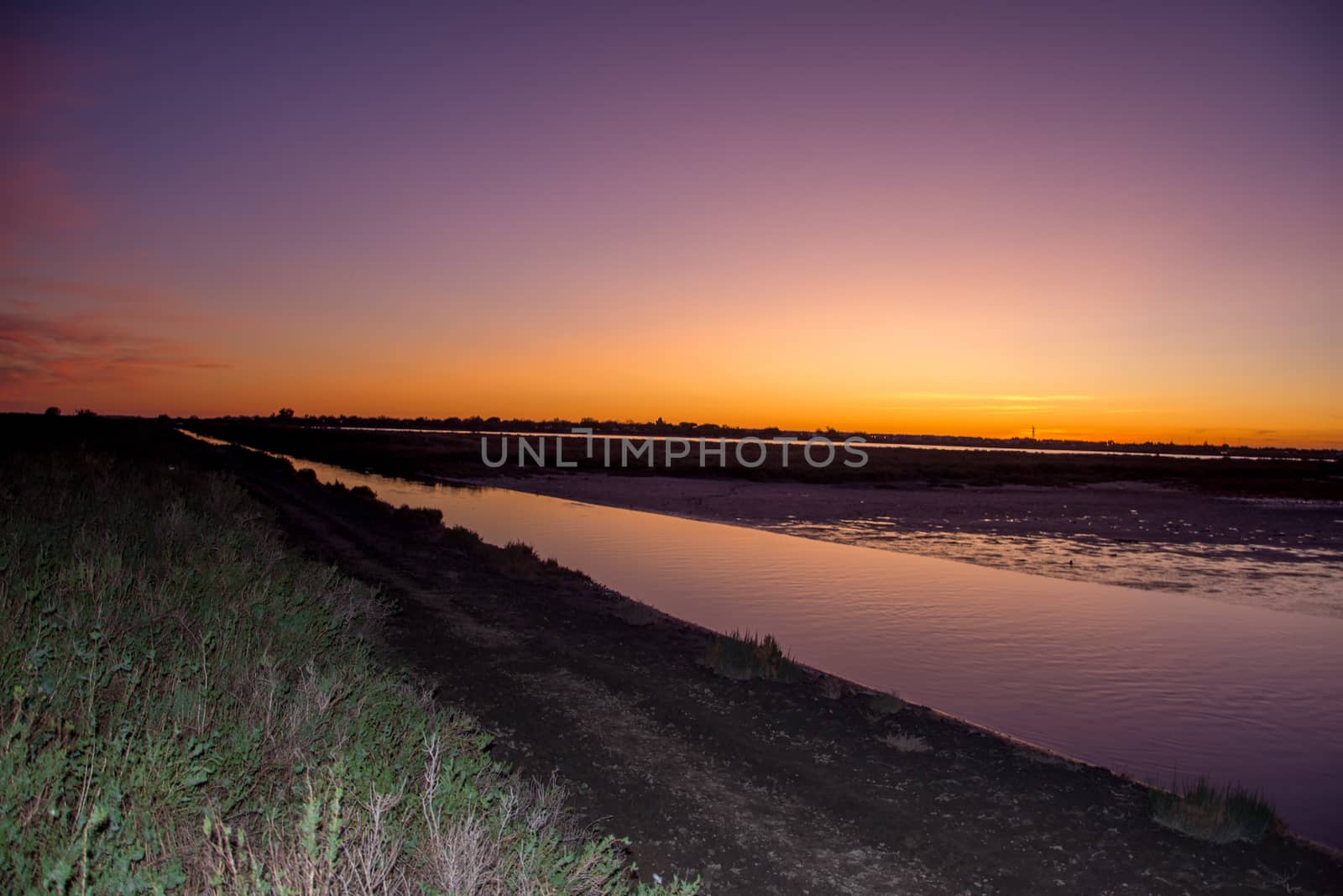 landscape of Camargues in the south of France by shovag