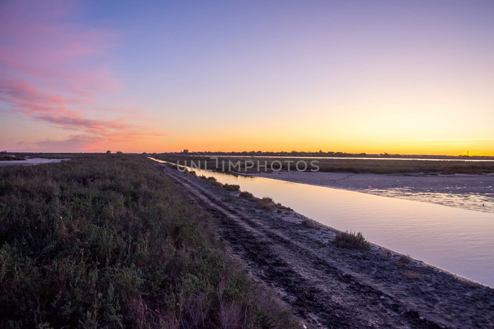 landscape of Camargues in the south of France by shovag