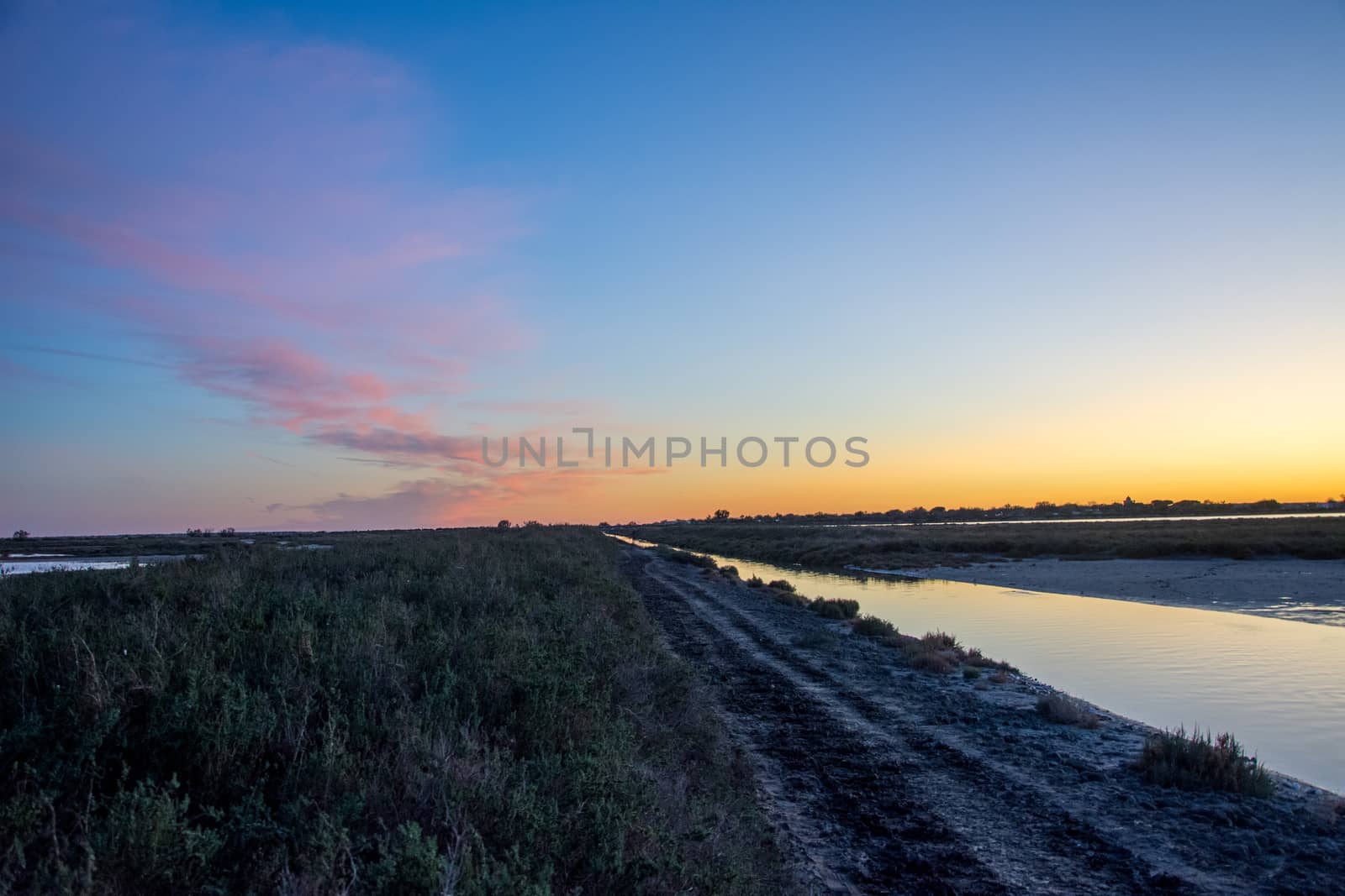 landscape of Camargues in the south of France. Ornithological nature reserve