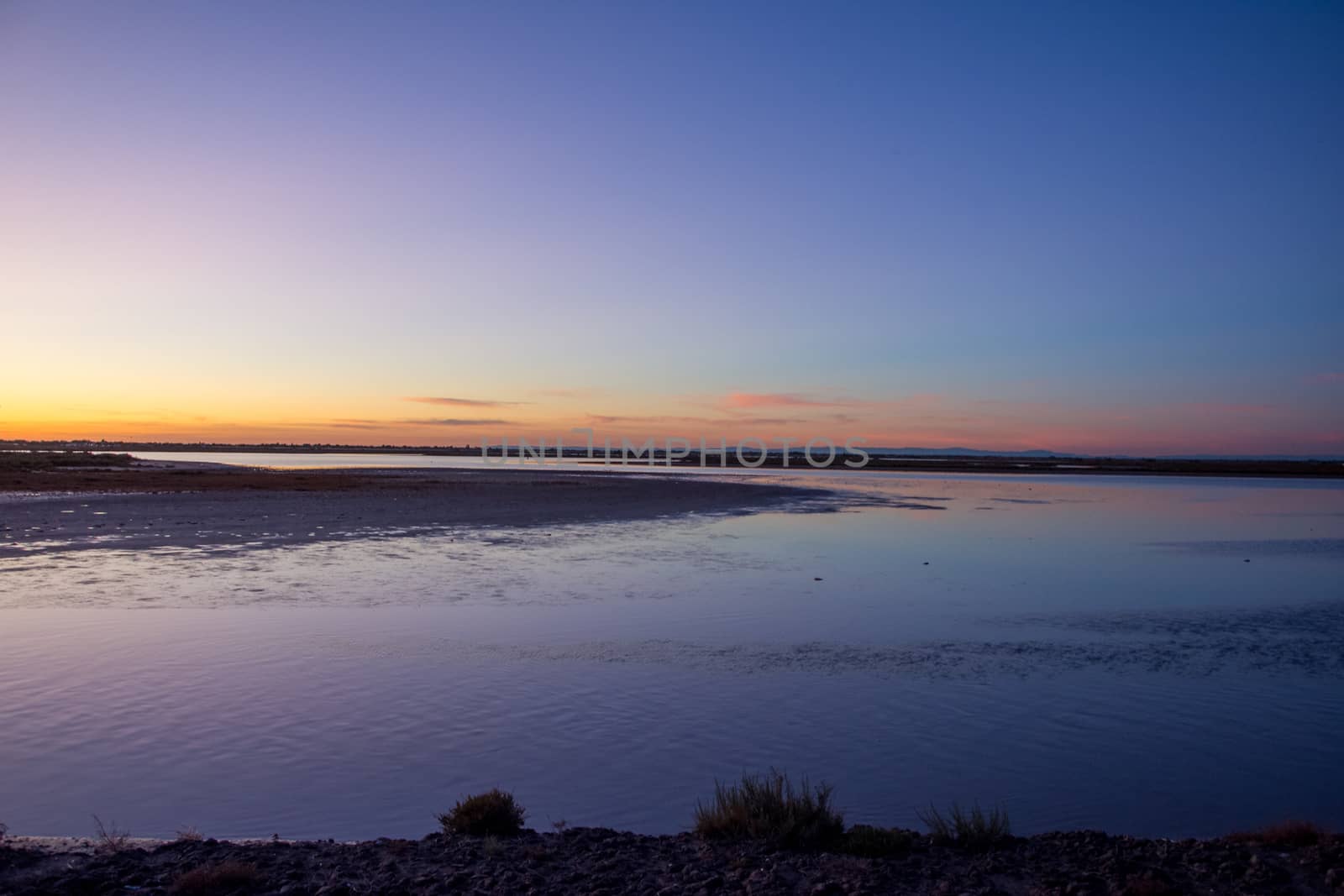 landscape of Camargues in the south of France. Ornithological nature reserve