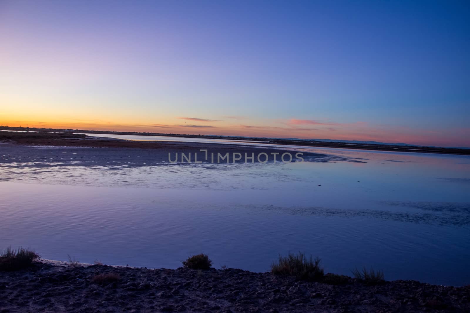 landscape of Camargues in the south of France. Ornithological nature reserve