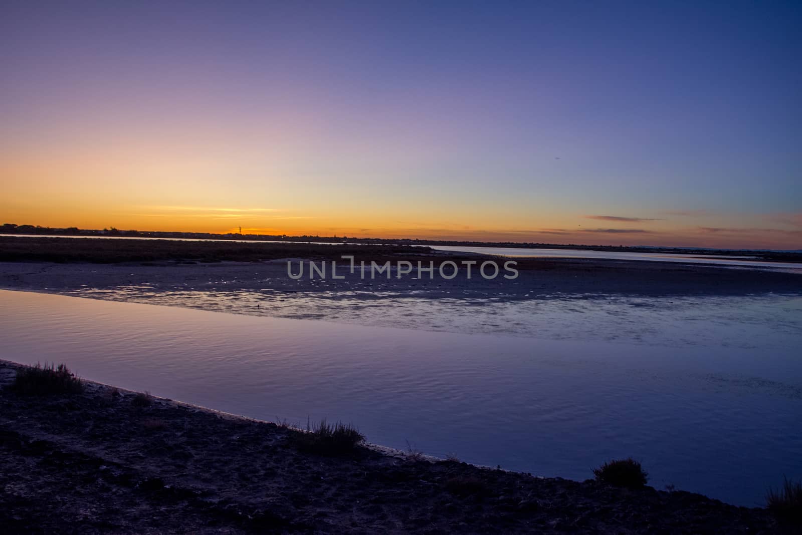 landscape of Camargues in the south of France. Ornithological nature reserve