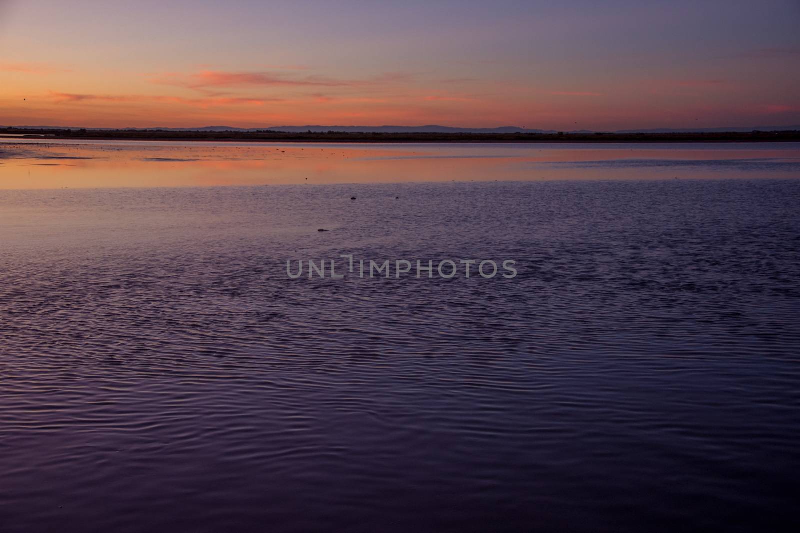 landscape of Camargues in the south of France. Ornithological nature reserve