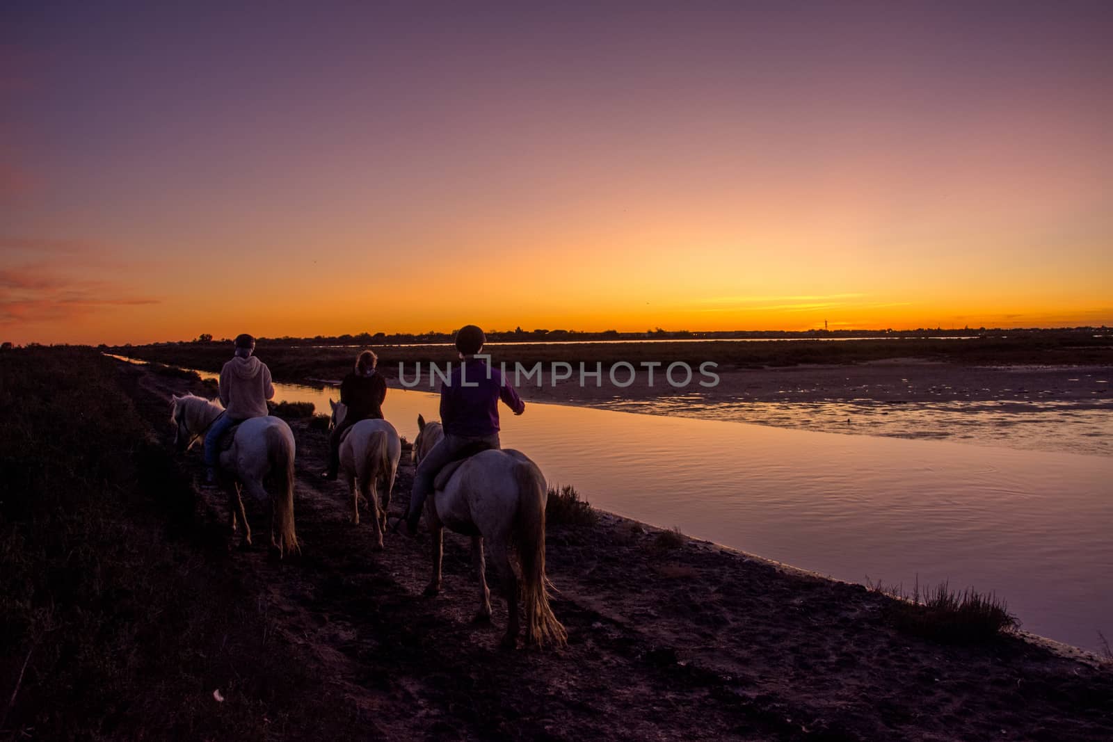 landscape of Camargues in the south of France by shovag