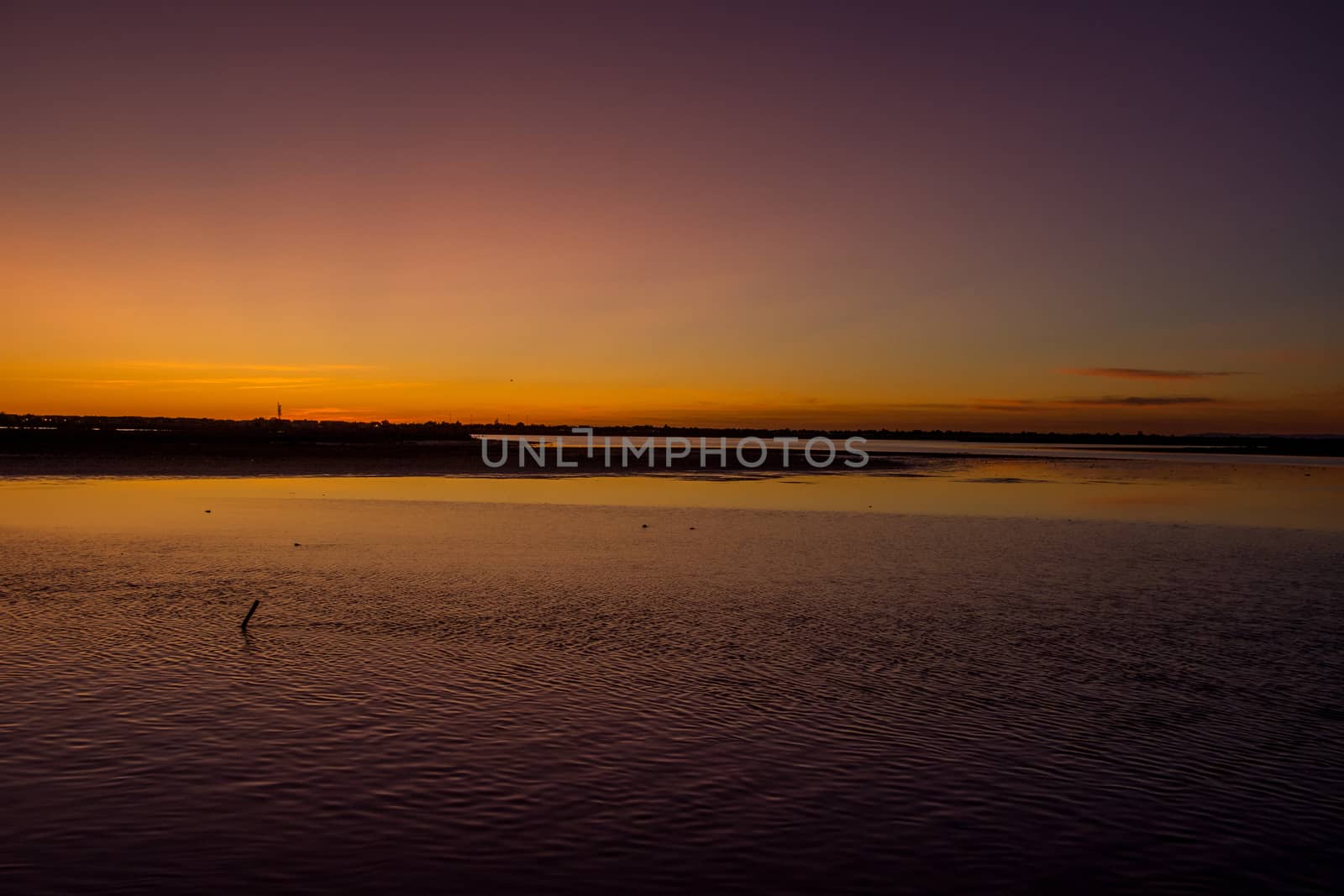 landscape of Camargues in the south of France. Ornithological nature reserve