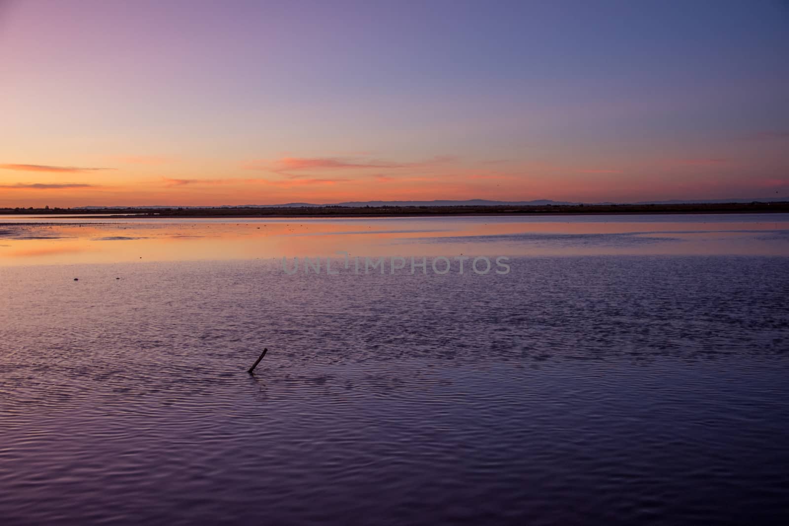 landscape of Camargues in the south of France. Ornithological nature reserve