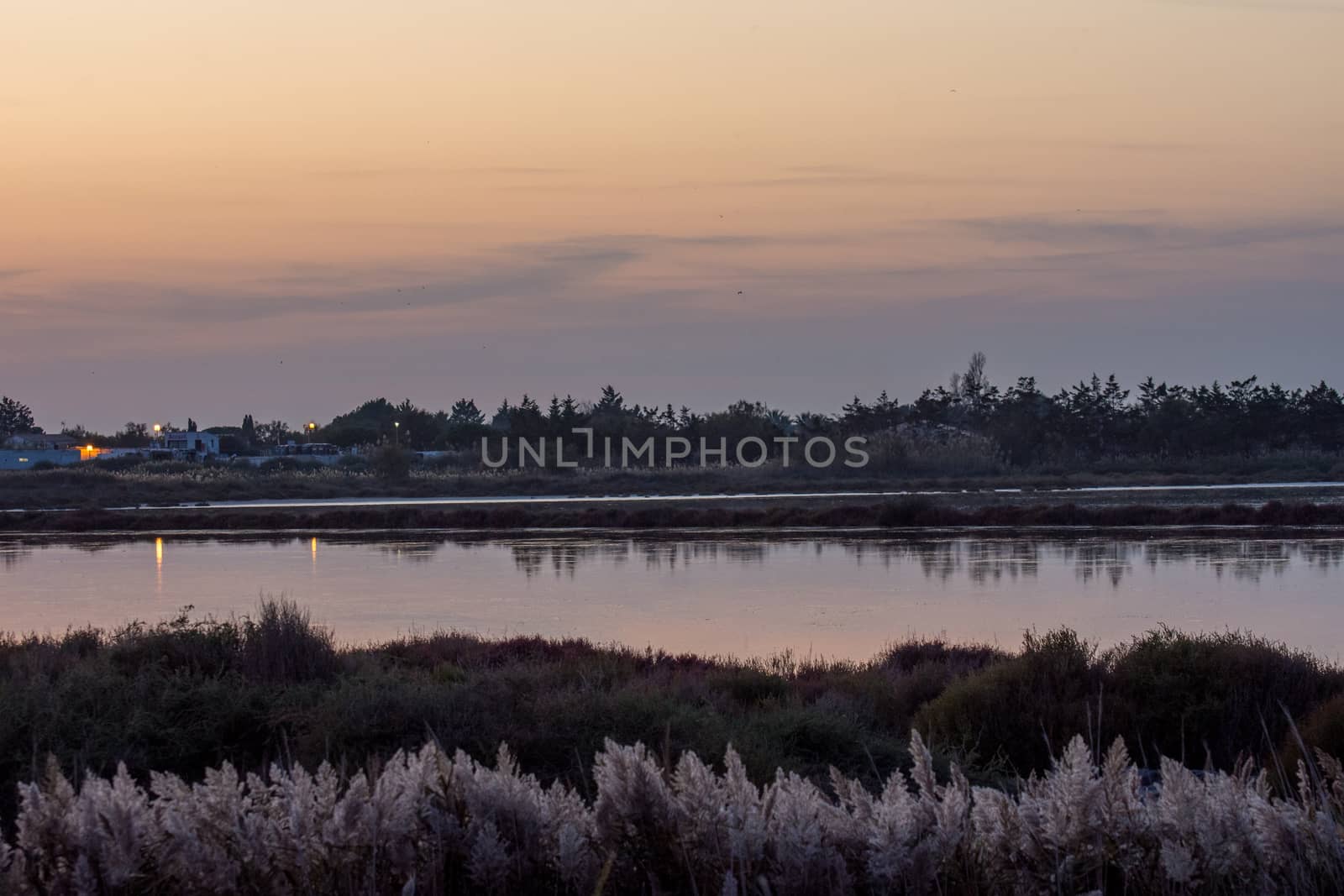 landscape of Camargues in the south of France. Ornithological nature reserve