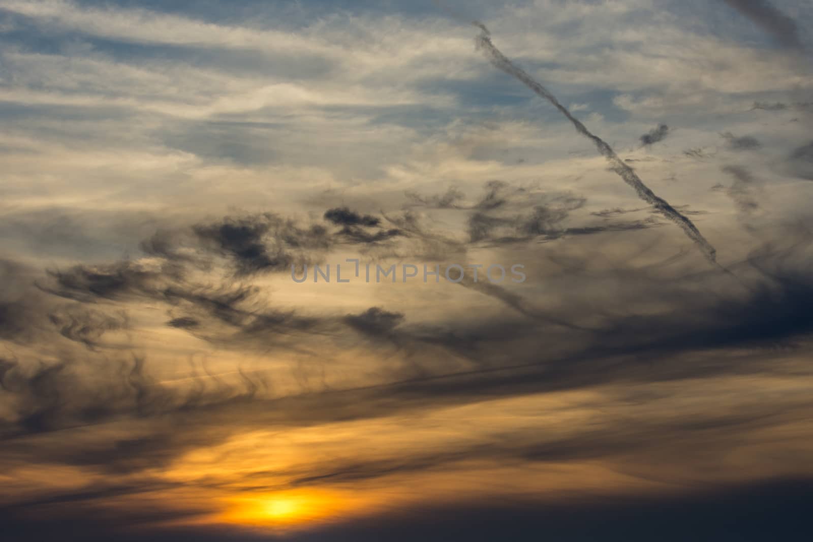 landscape of Camargues in the south of France. Ornithological nature reserve