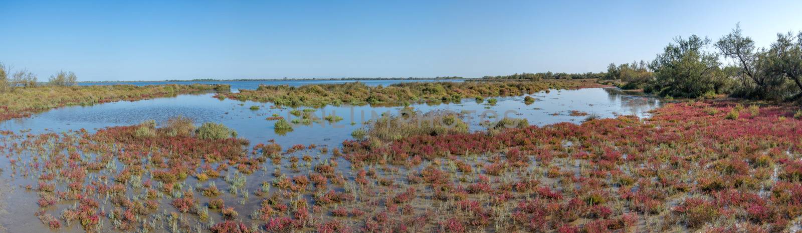 landscape of Camargues in the south of France. Ornithological nature reserve