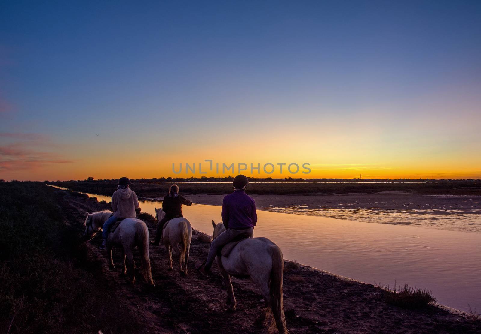 landscape of Camargues in the south of France. Ornithological nature reserve